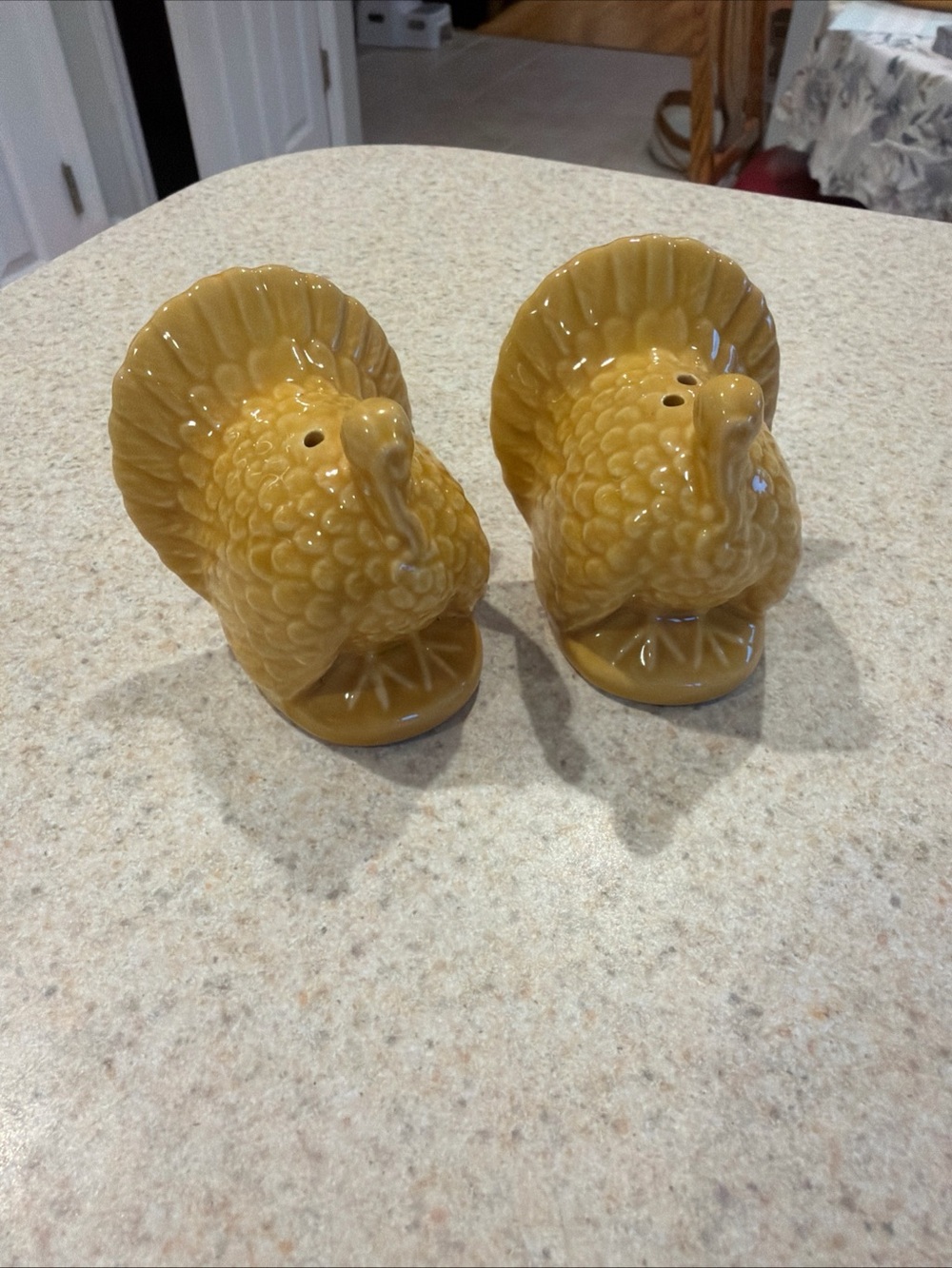 Thanksgiving Salt and Pepper shakers
